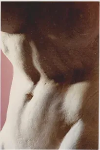 Corps de femme en pierre